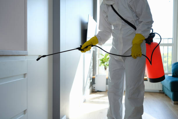 Best Certified Mold Removal  in Sneads, FL